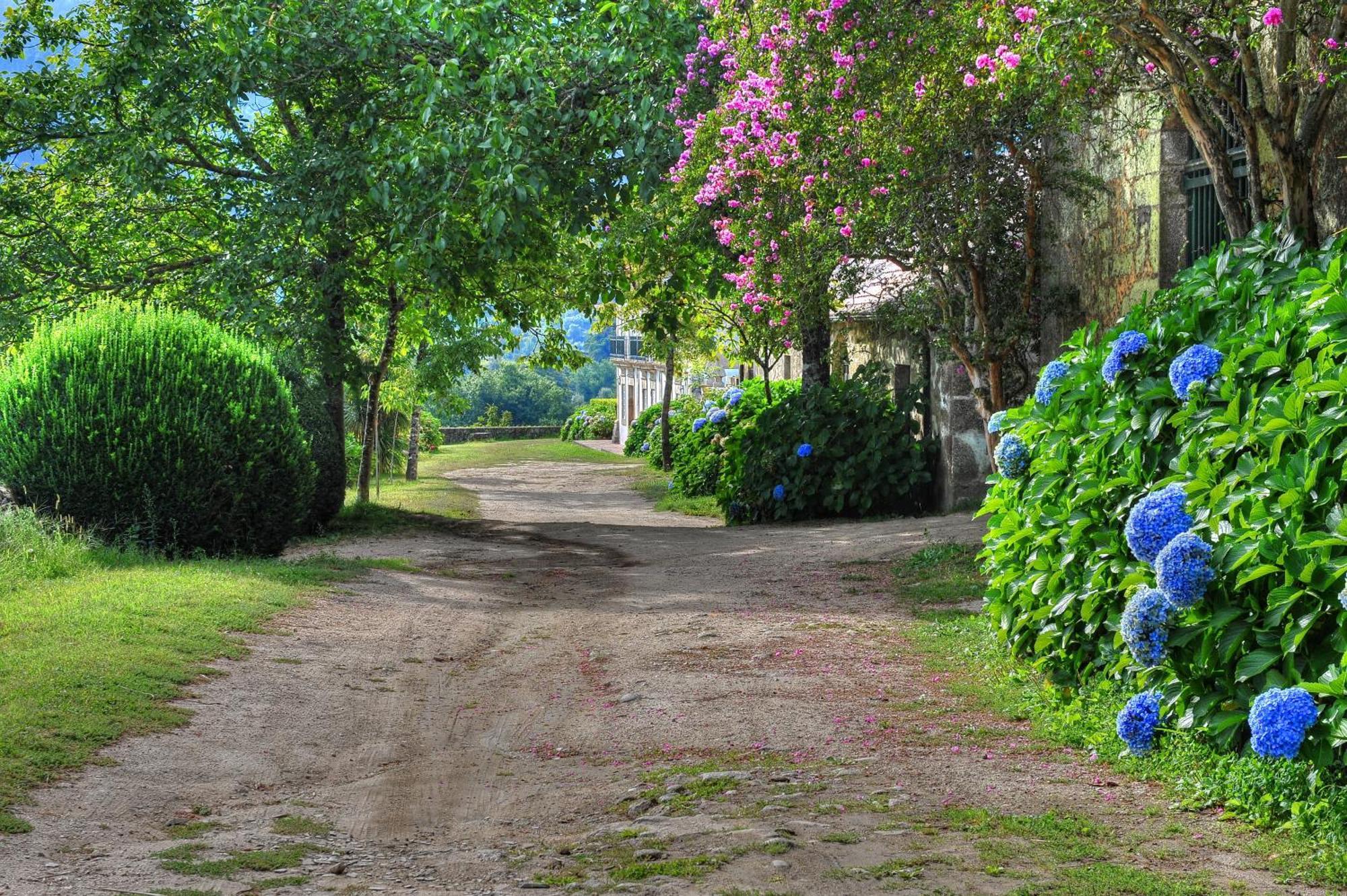 Quinta De Luou Villa Santa Cruz do Lima Buitenkant foto