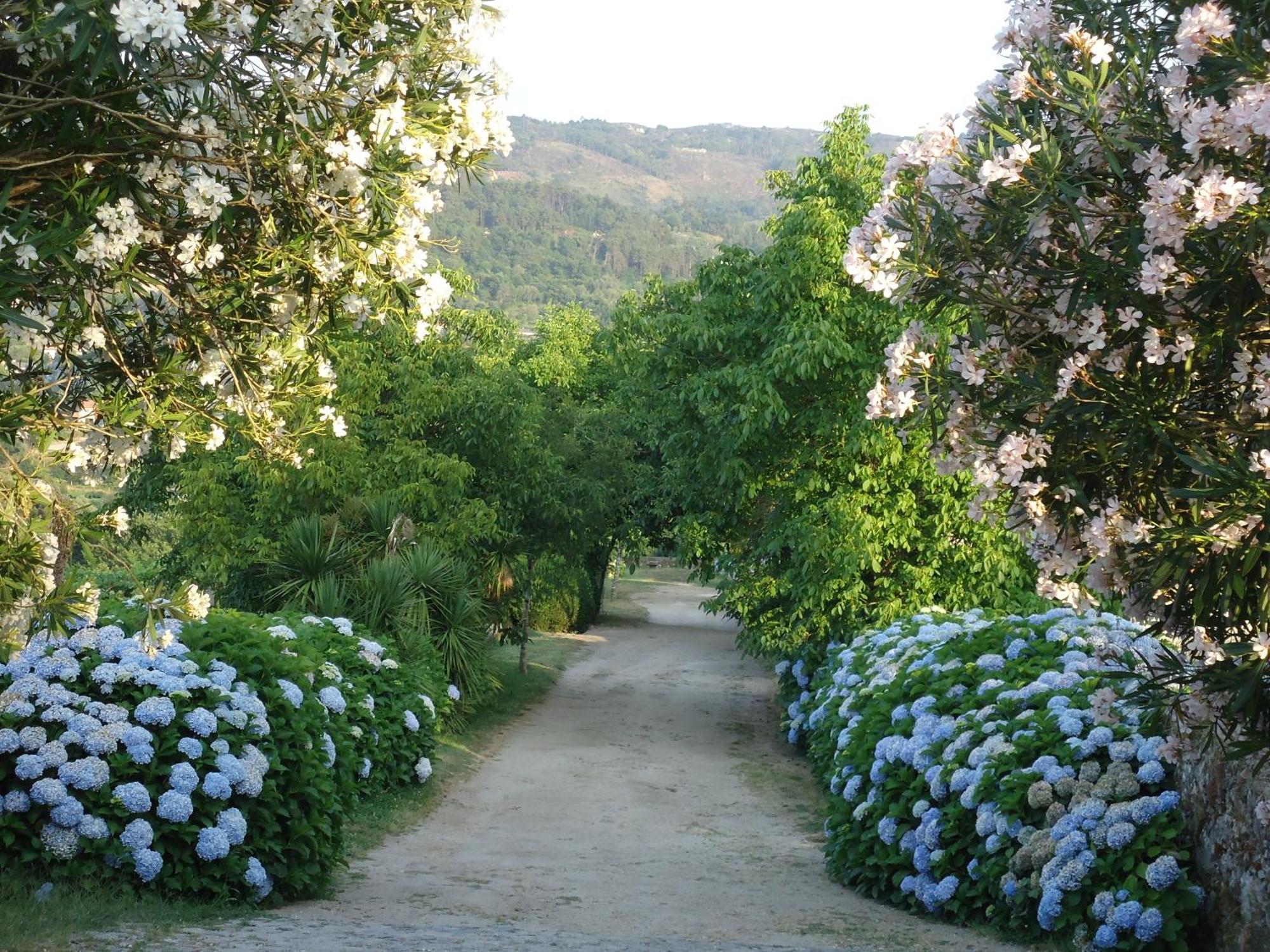 Quinta De Luou Villa Santa Cruz do Lima Buitenkant foto